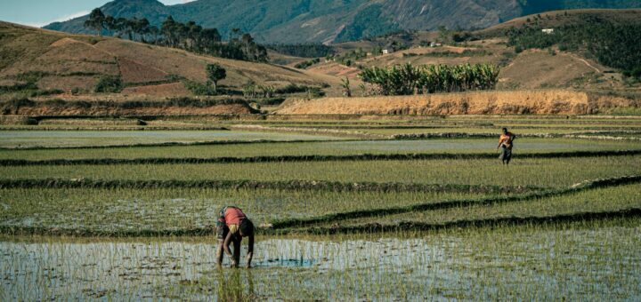 Madagascar - Where to Stay in Diego Suarez by Area: Neighborhood Guide 2026