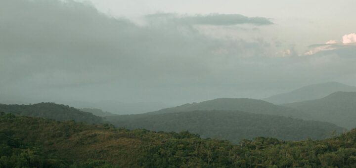 Madagascar - Where to Stay Near Marojejy: Lodges for the Trek 2026