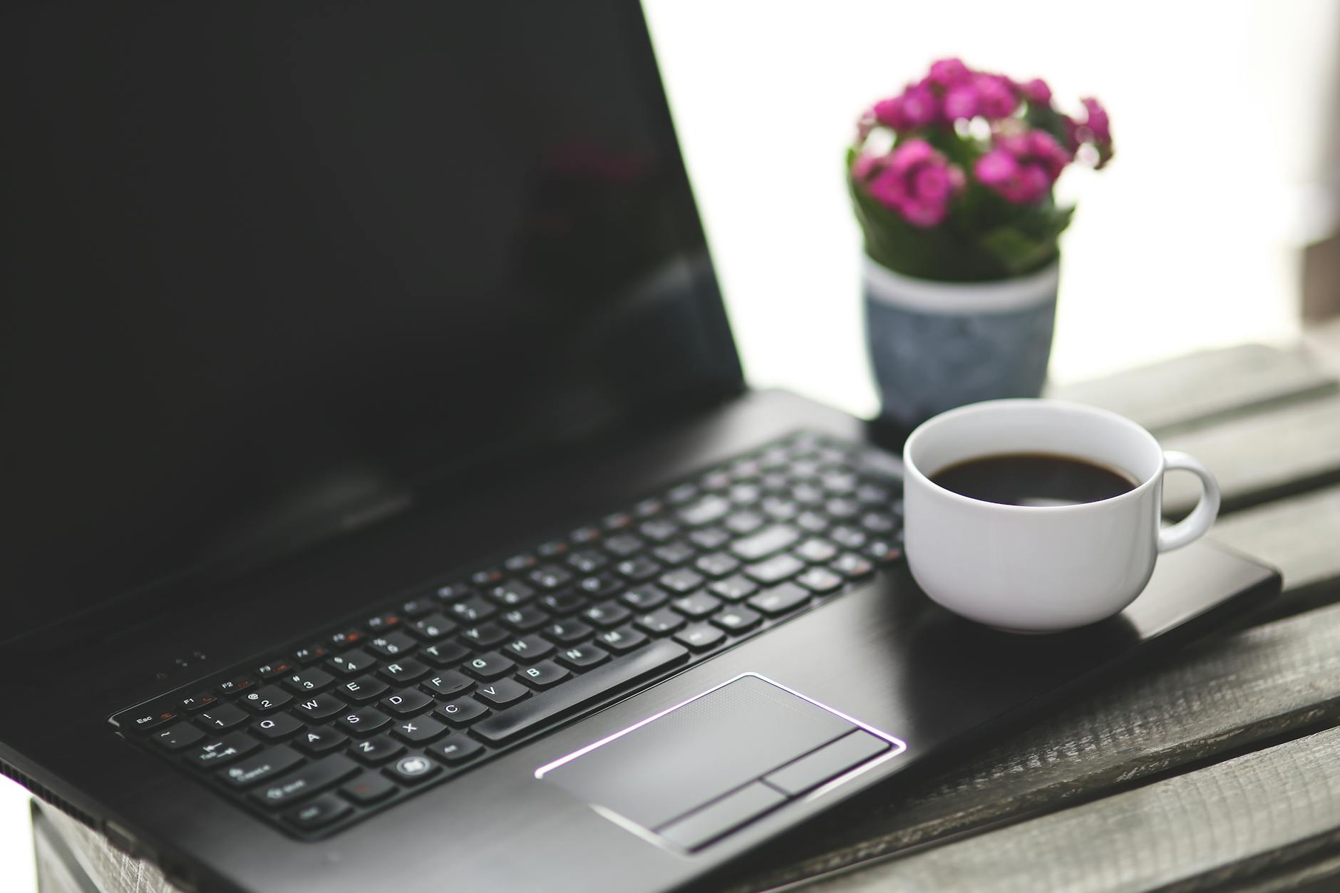Working Remotely in Madagascar: Best Co-Working Spots and WiFi 2026 — Madagascar