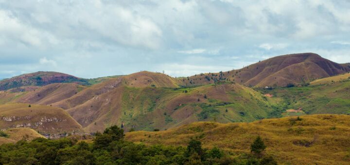 Madagascar - Zebu Cattle Culture in Madagascar: Why Cows Are Sacred Here