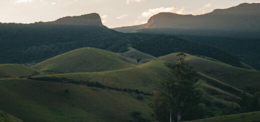 Madagascar - 30 Questions First-Time Madagascar Visitors Always Ask: Answered