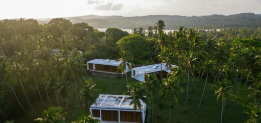 Air France Business Class to Madagascar 2026: Paris-Tana Direct, Cabin Detail and Award Sweet Spots — Madagascar