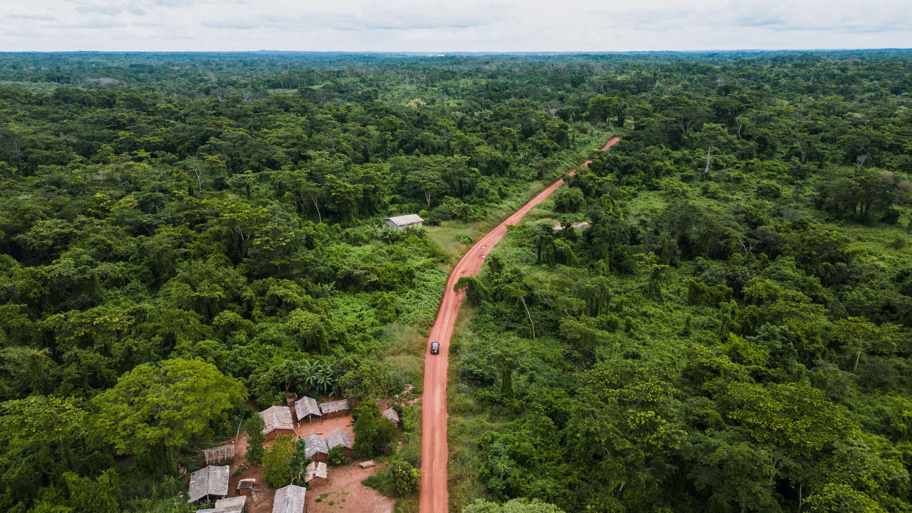 Andasibe-Mantadia Birding 2026: Complete Guide to Madagascar's Most Accessible Rainforest Birding — Madagascar