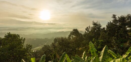 Anja Reserve Tours & RN7 Day Trips 2026: Visiting & How to Book — Madagascar