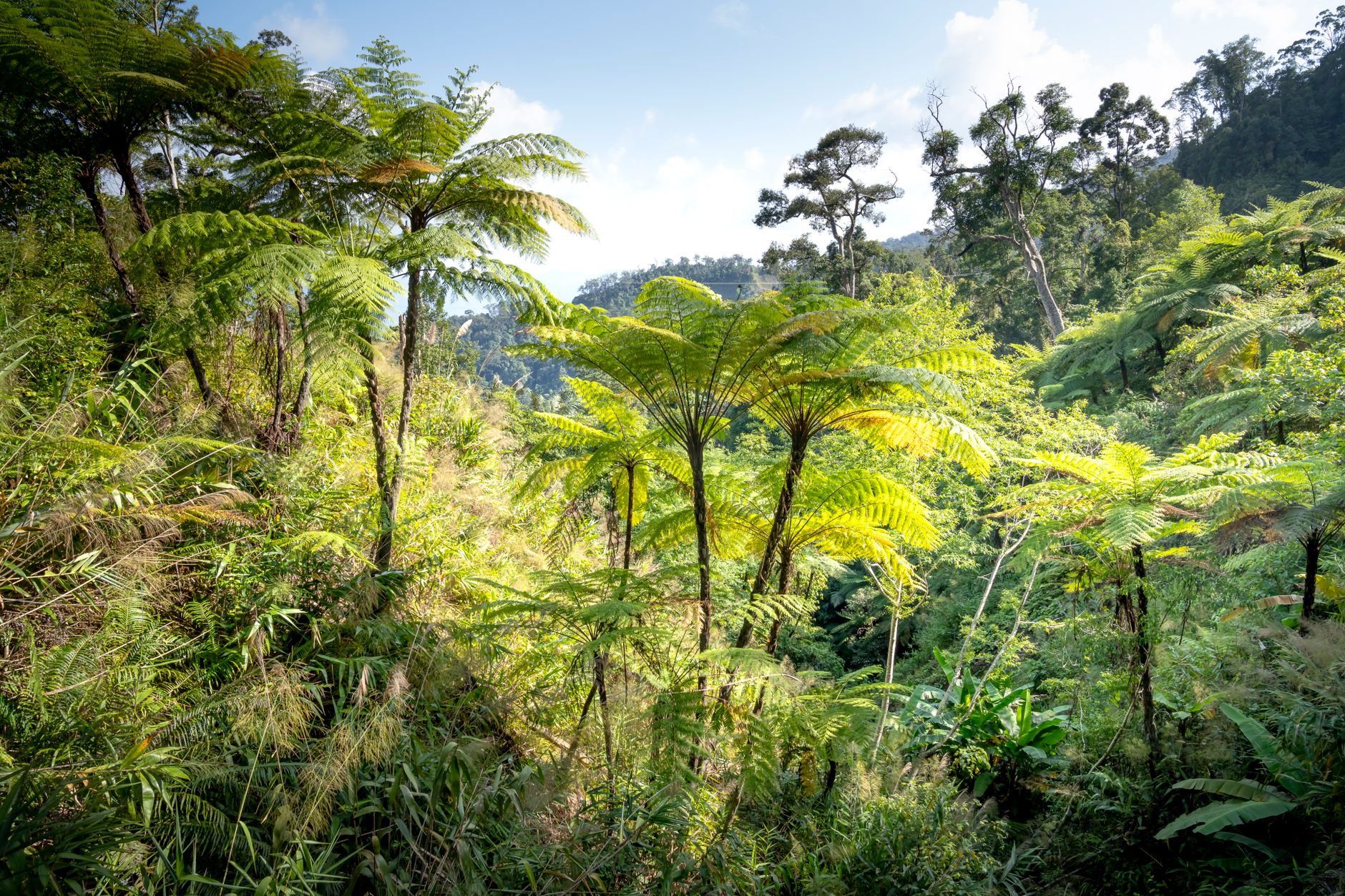 Anja Reserve Trip Cost 2026: Entry Fees, Guides & Budget Breakdown — Madagascar