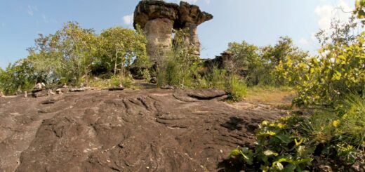 Ankarana Tours & Day Trips 2026: Guided Tsingy & Cave Trips from Diego — Madagascar