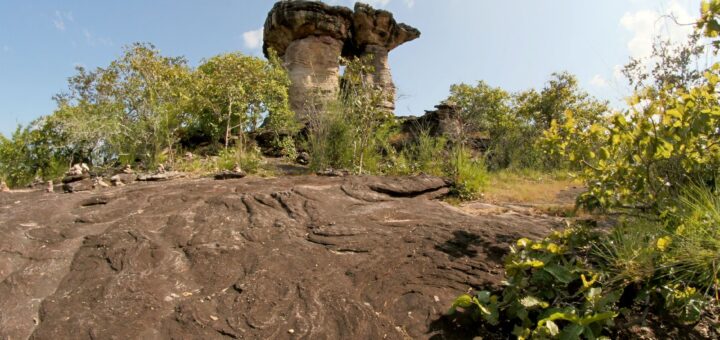Ankarana Tours & Day Trips 2026: Guided Tsingy & Cave Trips from Diego — Madagascar