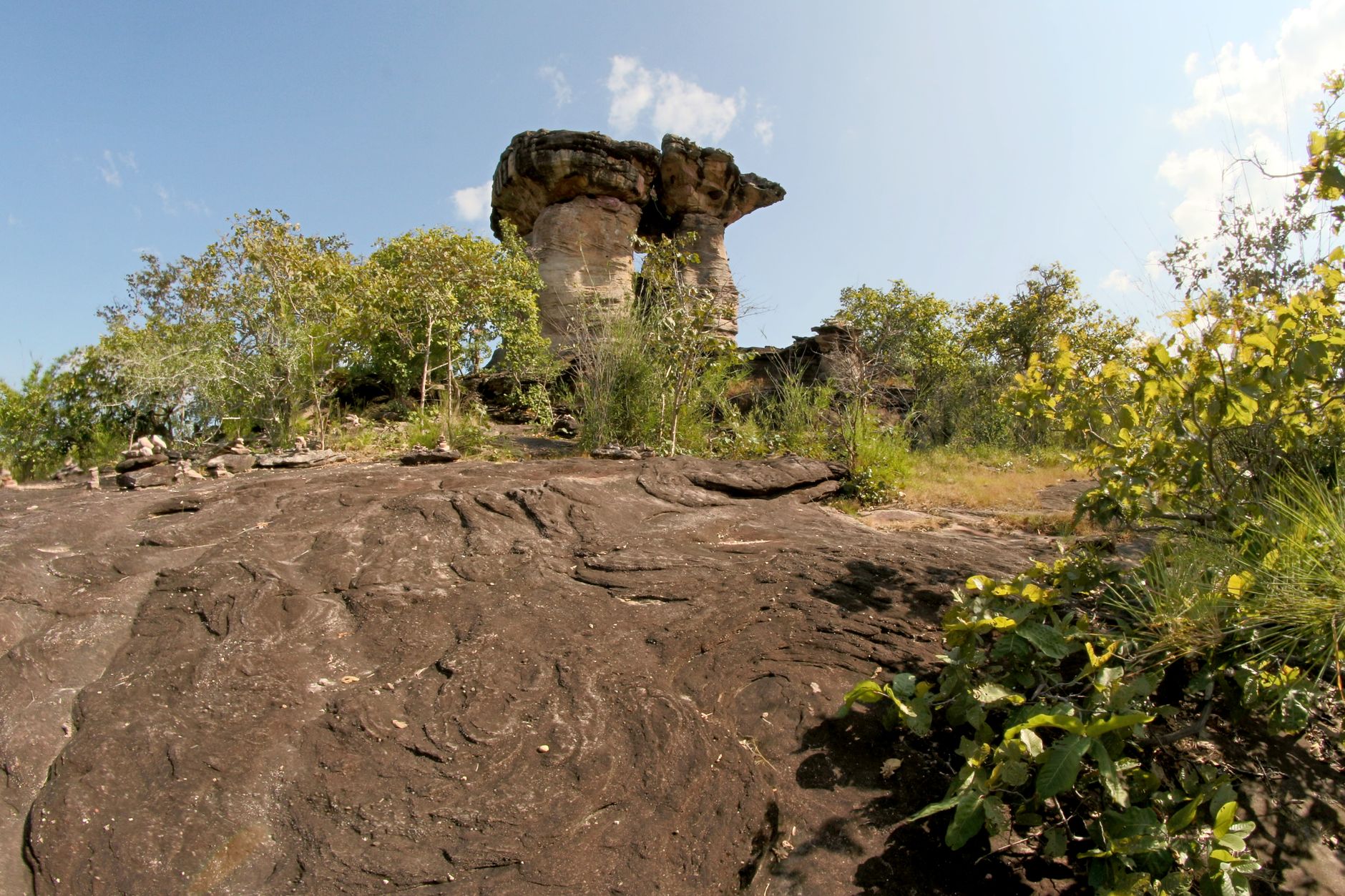 Ankarana Tours & Day Trips 2026: Guided Tsingy & Cave Trips from Diego — Madagascar