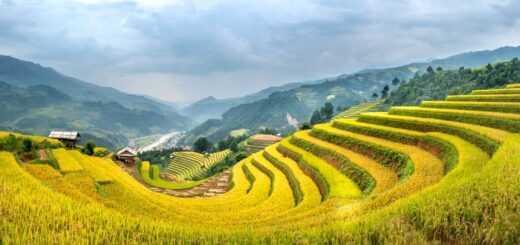 Antsirabe Trip Cost 2026: Budget Breakdown for Madagascar's Highland Town — Madagascar