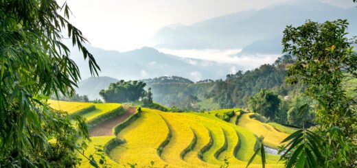 Antsirabe vs Fianarantsoa 2026: Which Highland Town Should You Visit? — Madagascar