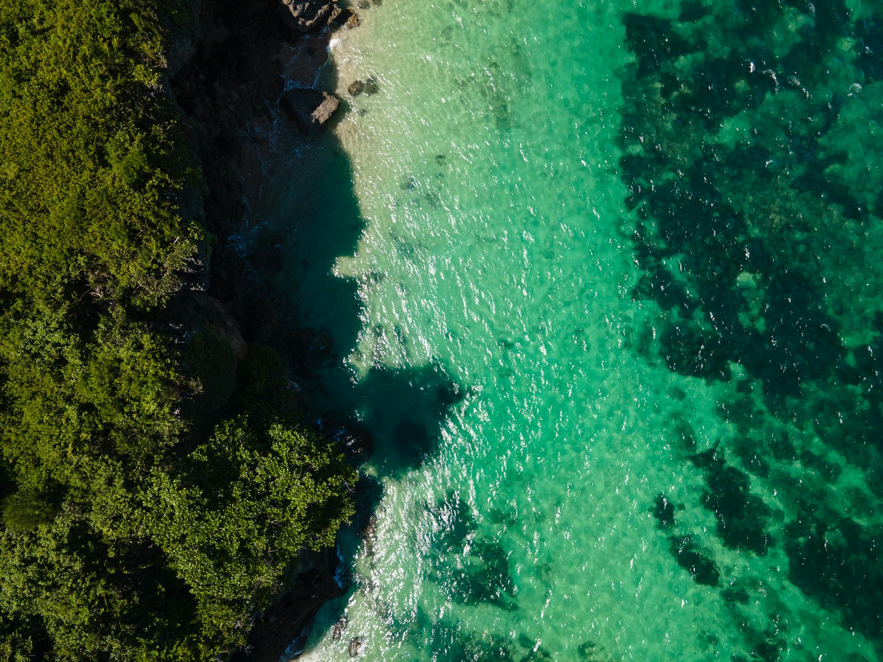 August in Madagascar: Wildlife, Whale Season and Weather Guide — Madagascar