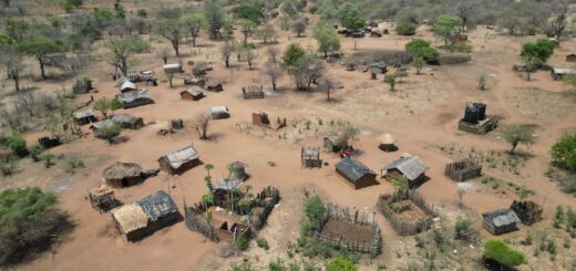 Avenue of the Baobabs Complete Guide 2026: When to Go & What to Know — Madagascar