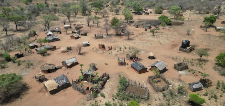 Avenue of the Baobabs Complete Guide 2026: When to Go & What to Know — Madagascar