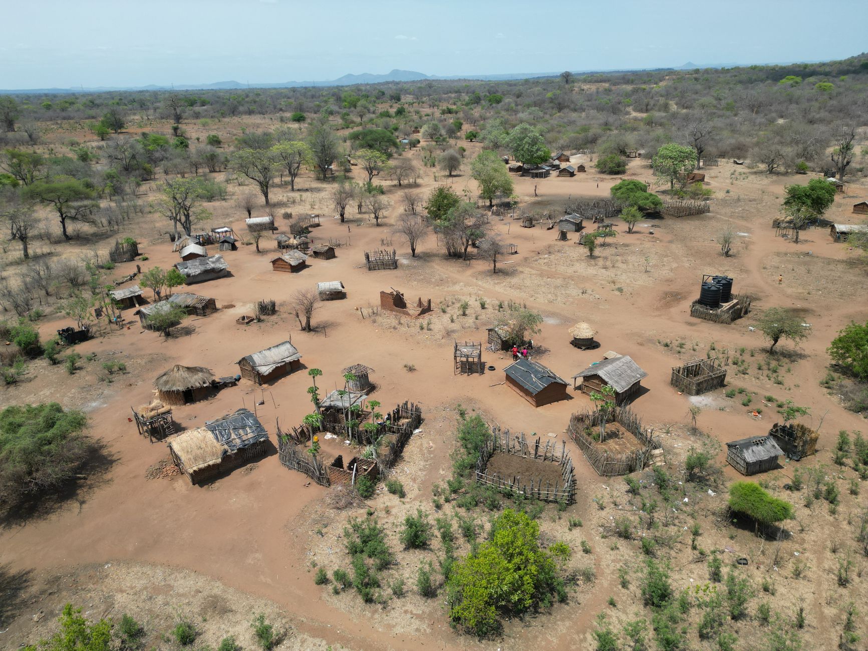 Avenue of the Baobabs Complete Guide 2026: When to Go & What to Know — Madagascar