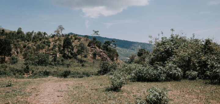 Anja Community Reserve 2026: The Complete Guide to Madagascar's Ring-Tailed Lemurs — Madagascar