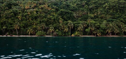 Best of Eastern Madagascar 2026: Andasibe, the Indri, the Pangalanes & Masoala — Madagascar