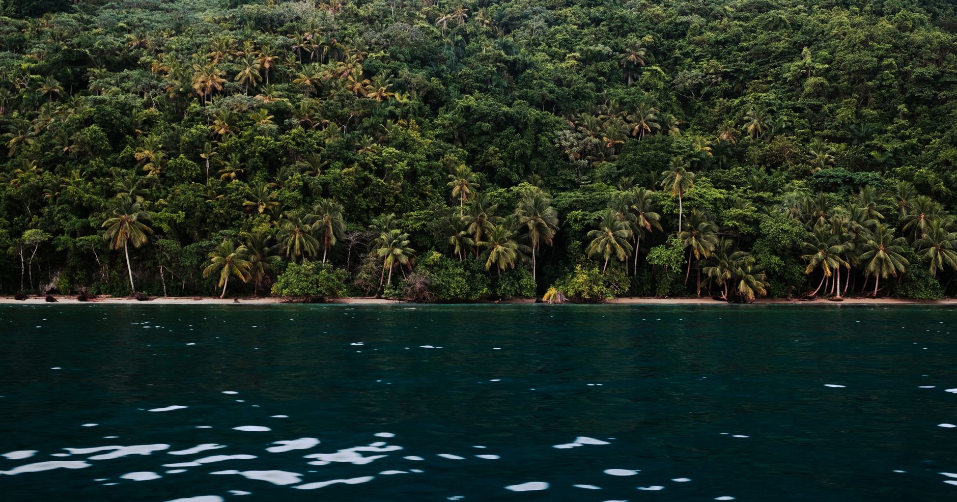 Best of Eastern Madagascar 2026: Andasibe, the Indri, the Pangalanes & Masoala — Madagascar