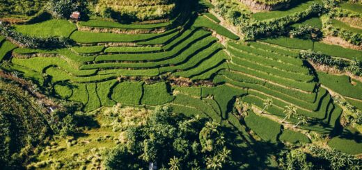 Best Fianarantsoa Hotels 2026: Where to Stay in Madagascar's Betsileo Capital — Madagascar