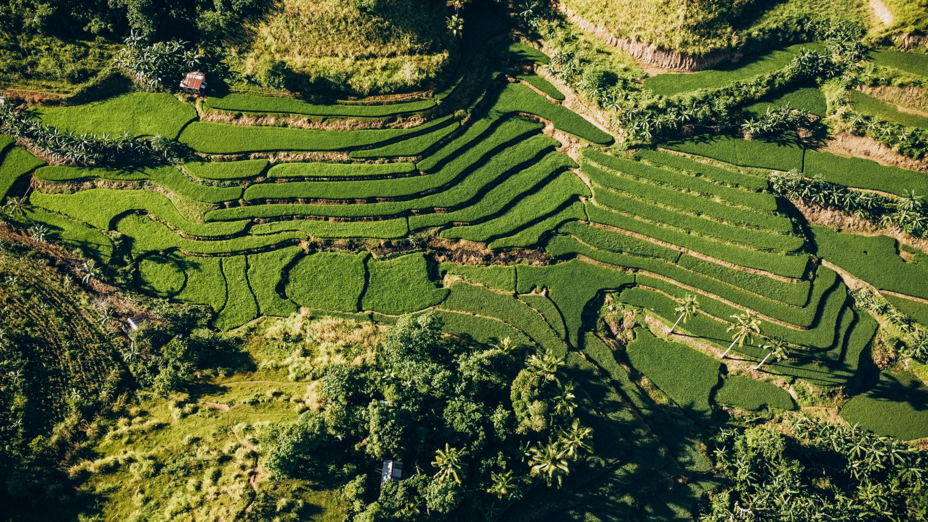 Best Fianarantsoa Hotels 2026: Where to Stay in Madagascar's Betsileo Capital — Madagascar