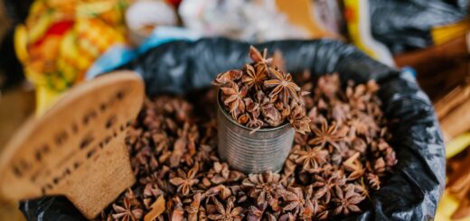Best Madagascar Culinary & Wine Experiences 2026: Vanilla, Fine Dining, Cooking Classes & Regional Cuisine — Madagascar
