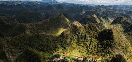 Best Madagascar Eco & Sustainable Travel 2026: The Complete Guide — Madagascar