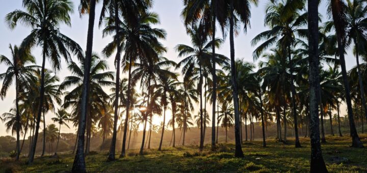 Madagascar Itineraries 2026: How to Plan the Perfect Route — Madagascar