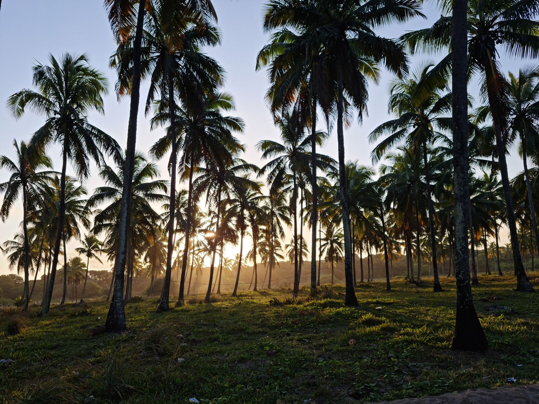Madagascar Itineraries 2026: How to Plan the Perfect Route — Madagascar