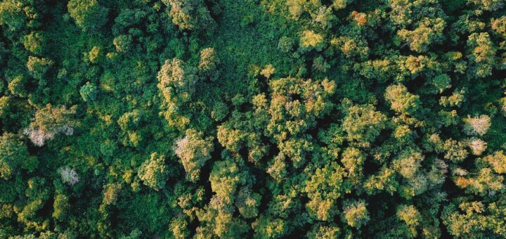 Best Madagascar National Parks & Reserves 2026: The Complete Guide — Madagascar