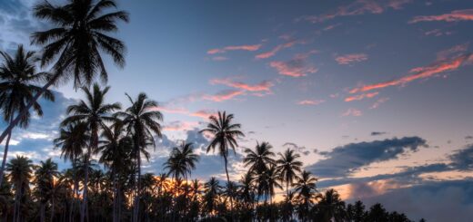 Madagascar Photography 2026: The Complete Guide to Shooting Wildlife & Landscapes — Madagascar