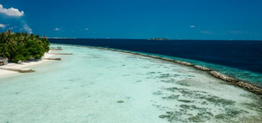 Best Madagascar Shore Excursions for Cruise Passengers 2026 — Madagascar