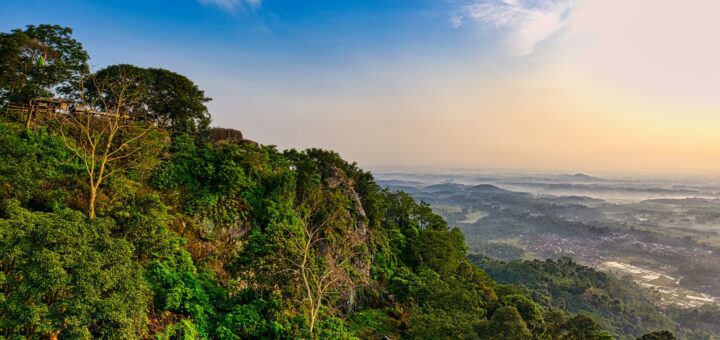 Marojejy National Park 2026: The Complete Guide to Madagascar's Silky Sifaka Massif — Madagascar
