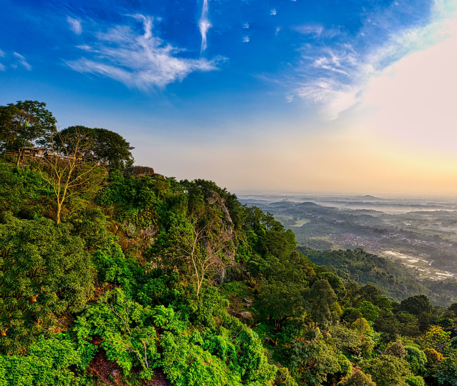 Marojejy National Park 2026: The Complete Guide to Madagascar's Silky Sifaka Massif — Madagascar