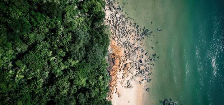 Masoala National Park 2026: The Complete Guide to Madagascar's Rainforest Coast — Madagascar