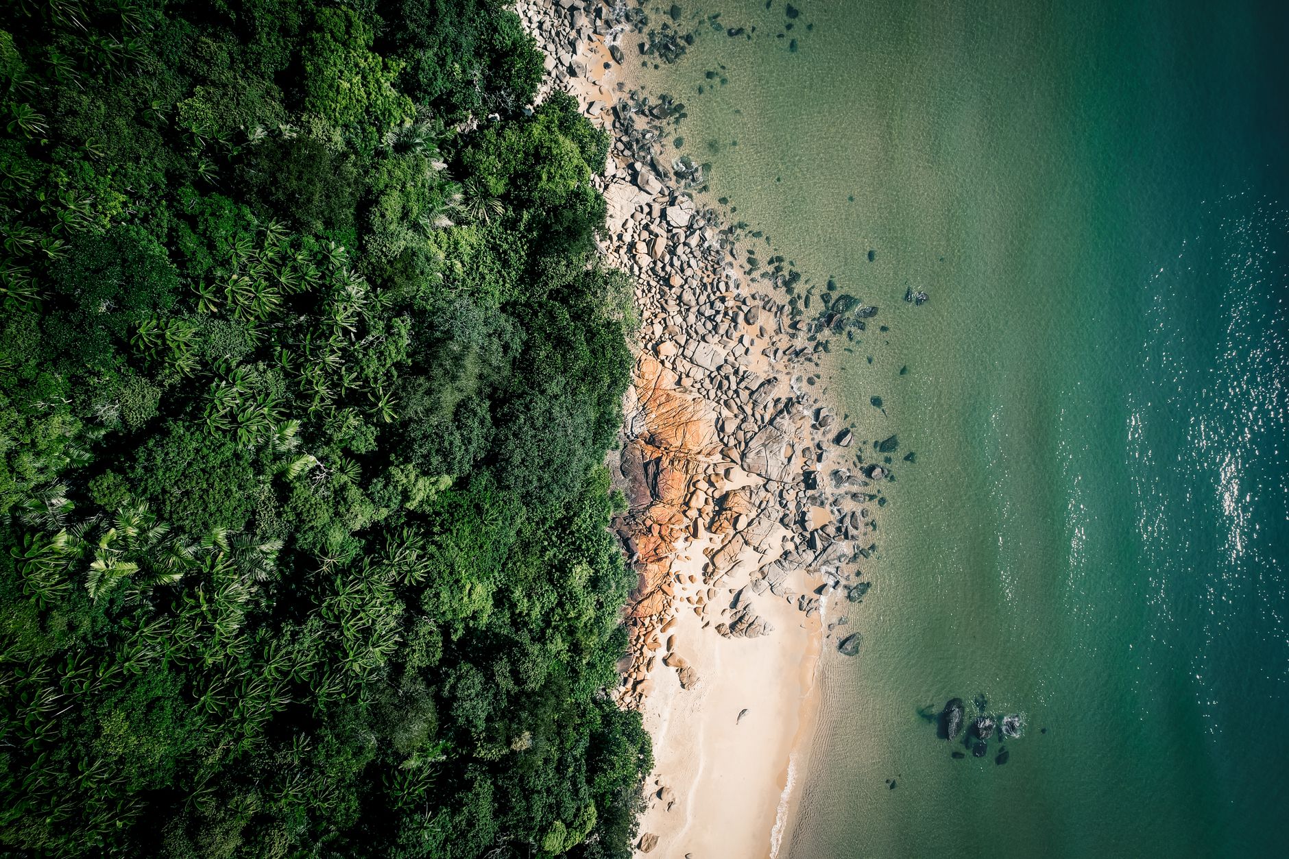 Masoala National Park 2026: The Complete Guide to Madagascar's Rainforest Coast — Madagascar
