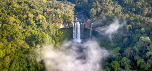 Montagne d'Ambre (Amber Mountain) National Park 2026: The Complete Guide — Madagascar