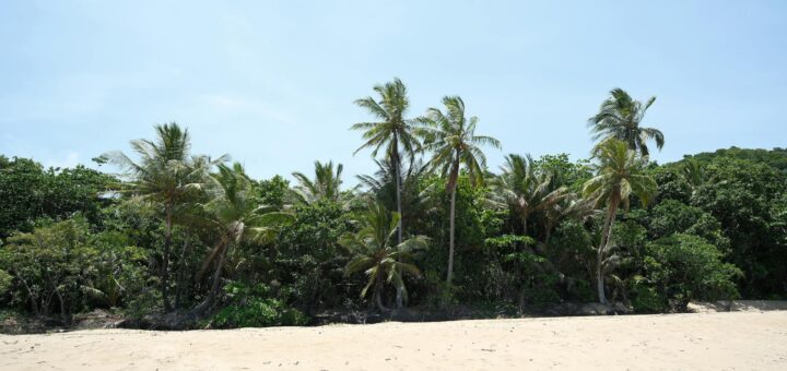 Madagascar - Best Restaurants in Nosy Be: Seafood, Location and Price Guide 2026