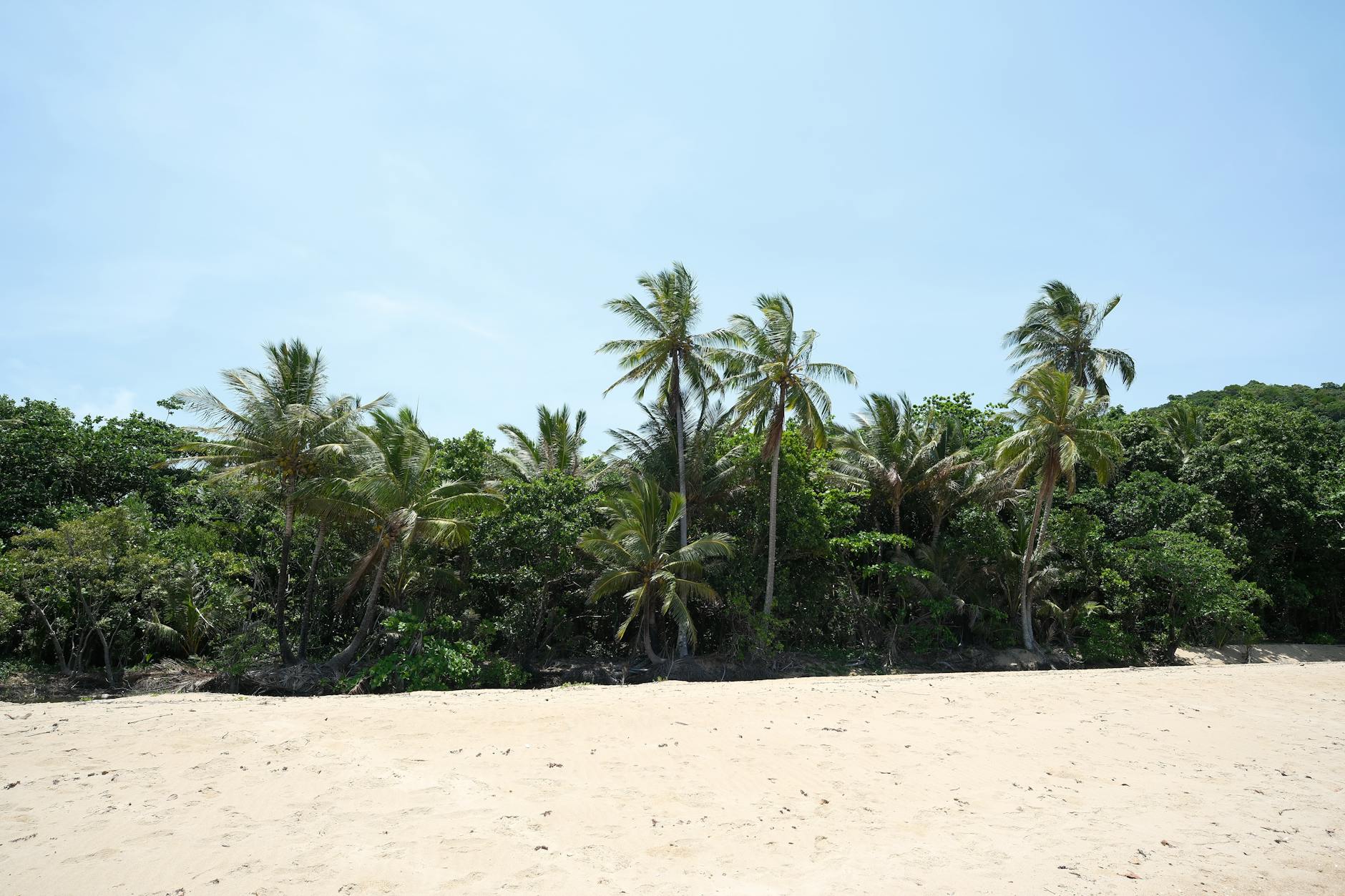 Best Restaurants in Nosy Be: Seafood, Location and Price Guide 2026 — Madagascar