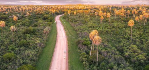 Best Madagascar Safari Lodges 2026: 10 Top Ranked Properties with Real Costs — Madagascar
