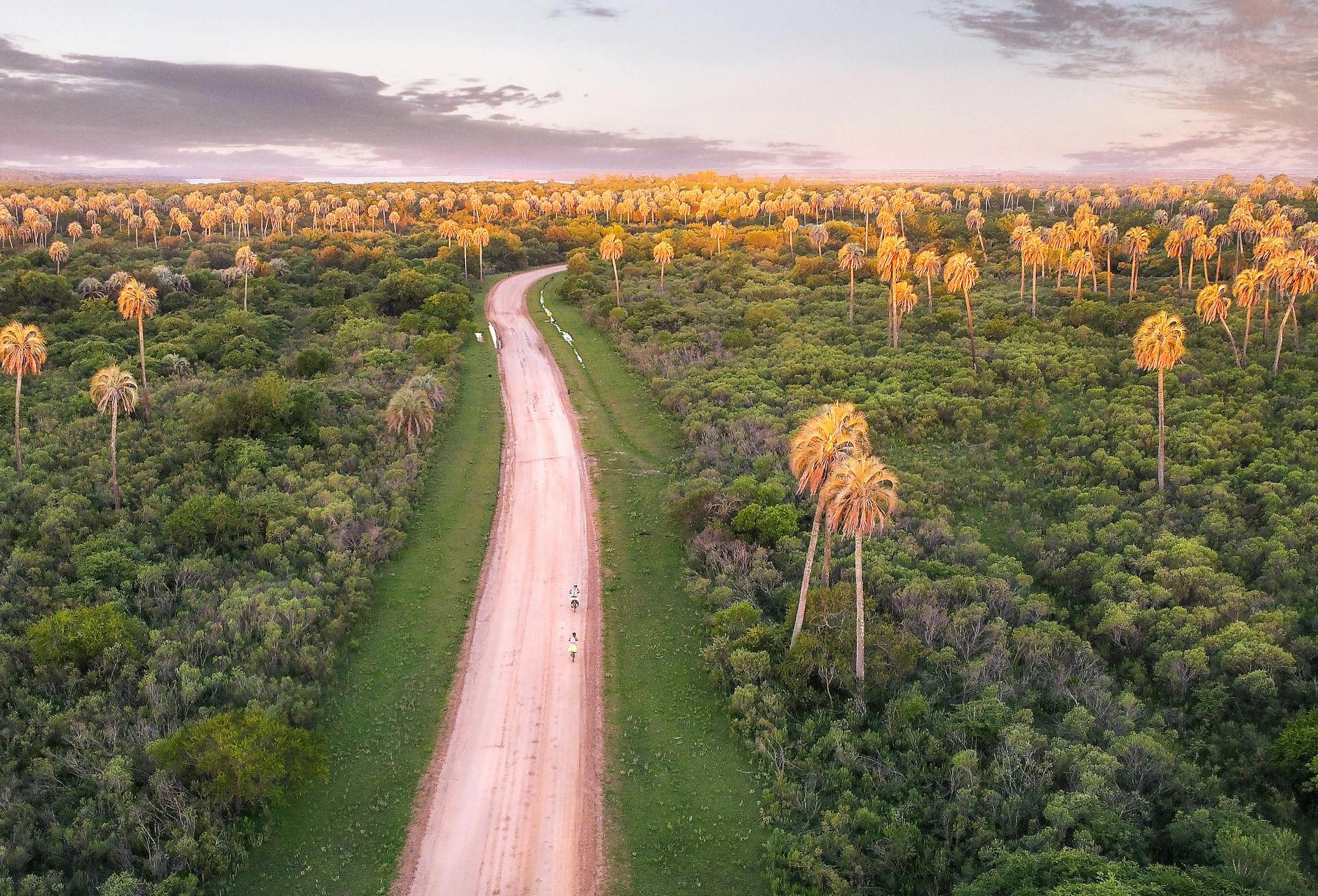 Best Madagascar Safari Lodges 2026: 10 Top Ranked Properties with Real Costs — Madagascar