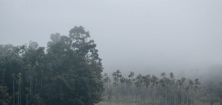 Best of Southern Madagascar & the RN7 2026: Antsirabe, Ranomafana, Anja & Isalo — Madagascar