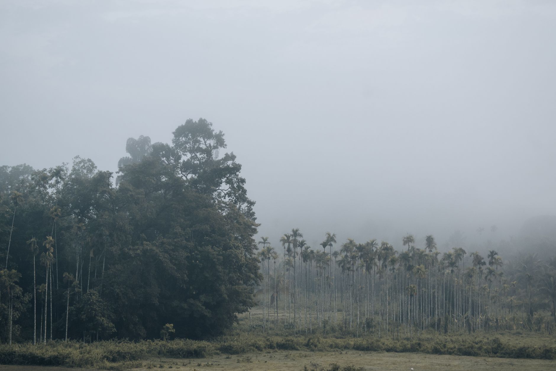 Best of Southern Madagascar & the RN7 2026: Antsirabe, Ranomafana, Anja & Isalo — Madagascar