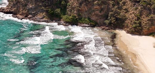 Toliara & Madagascar's Southwest Coast 2026: The Reef and Spiny-Forest Gateway — Madagascar