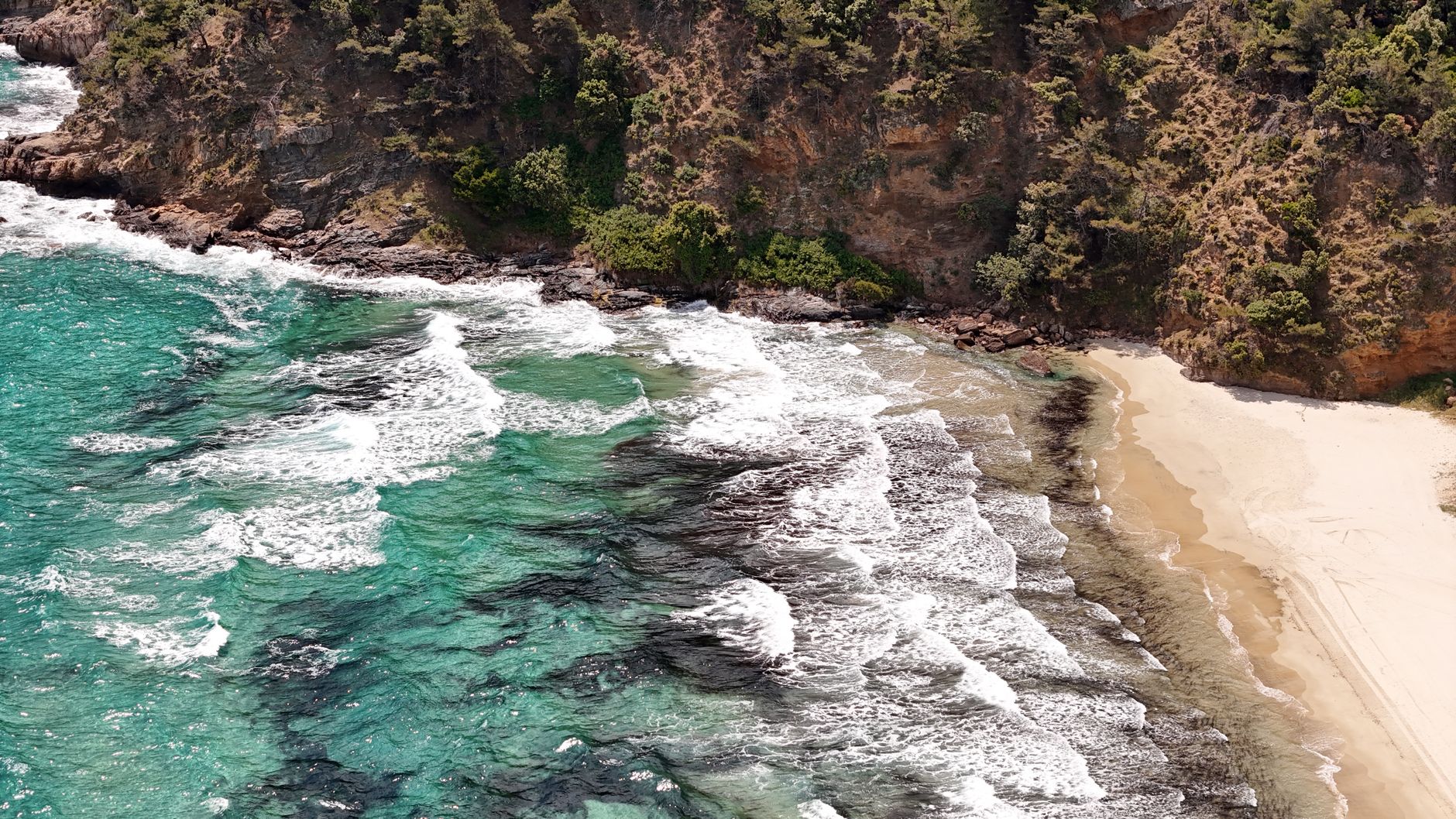 Toliara & Madagascar's Southwest Coast 2026: The Reef and Spiny-Forest Gateway — Madagascar