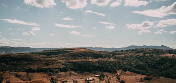 Betsileo Highlands Wineries: Inside Madagascar's Wine Producers & Terroir (2026) — Madagascar