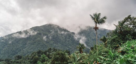 The FCE Railway 2026: Riding the Fianarantsoa–Côte Est Train to Manakara — Madagascar