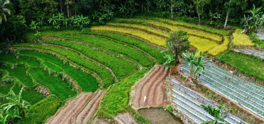 Fianarantsoa Trip Cost 2026: Budget Breakdown for the Betsileo Highlands — Madagascar