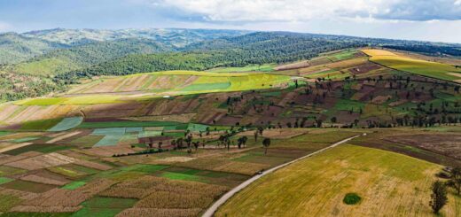 Madagascar - First Night in Madagascar: What to Do When You Land in Antananarivo