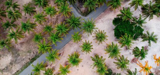 How to Book a Madagascar Tour 2026: Step-by-Step (and How to Avoid Mistakes) — Madagascar