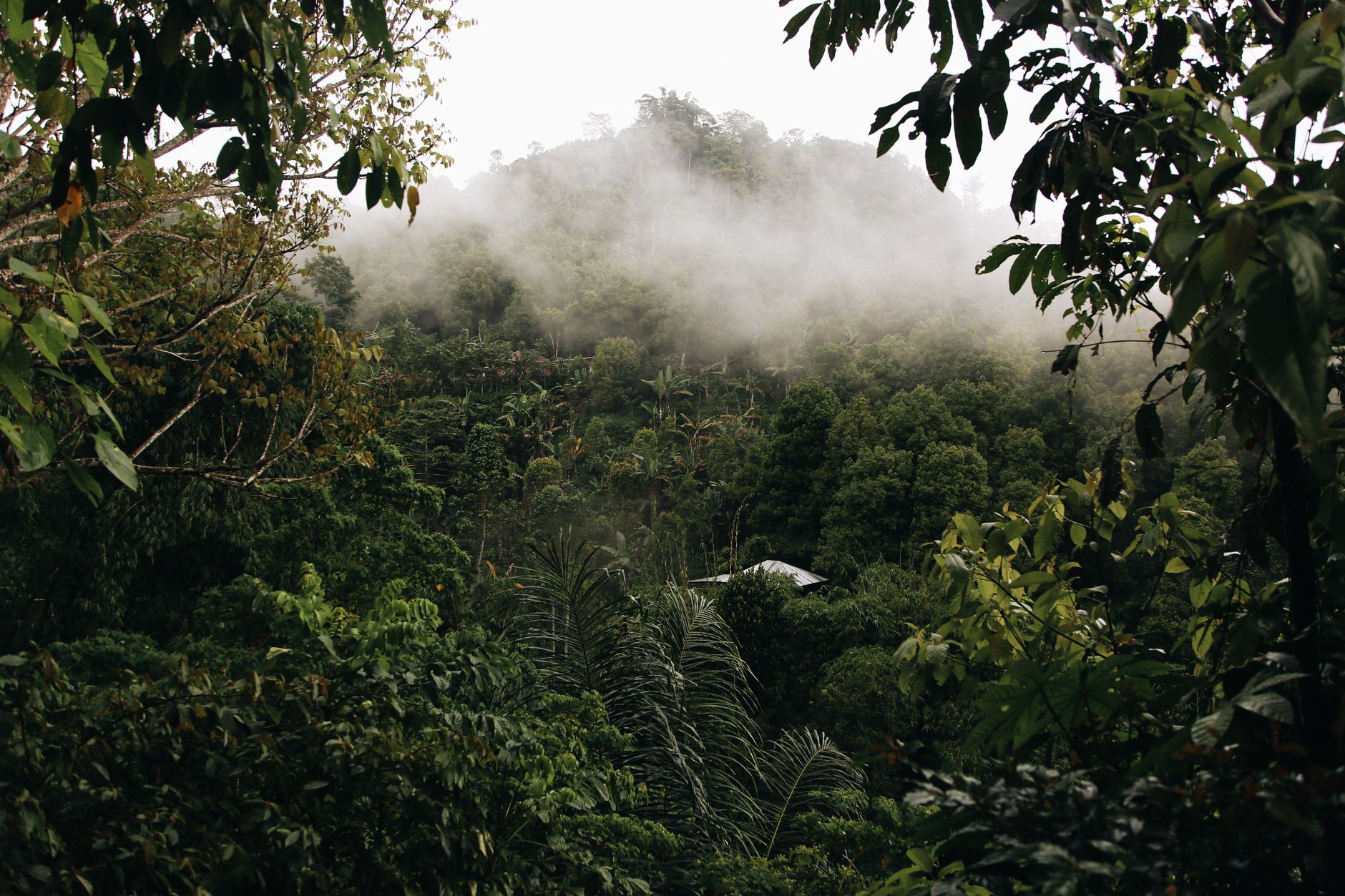 How to Choose the Right Madagascar Tour 2026: Match the Trip to What You Want — Madagascar