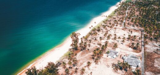 Ifaty vs Anakao 2026: Which Southwest Madagascar Beach Base Is Right for You? — Madagascar